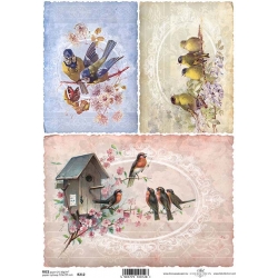 Papier ryżowy A4 R0212 ptaszki, budka